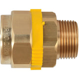 PLT GAZ MANCHON FILETE PAKTERMO DN25-4/4"M / P26F104